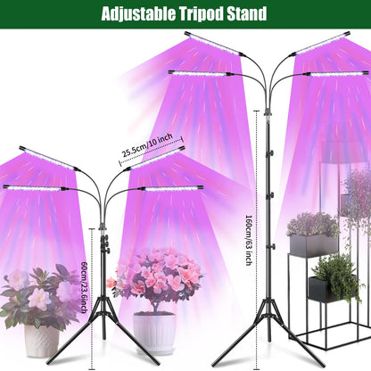 Railee LED Pflanzenlampe Vollspektrum mit Stativ und Zeitschaltuhr