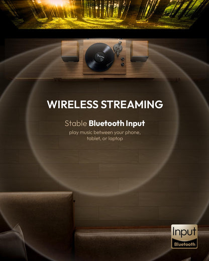 Qlearsoul SoulBox S1 Plattenspieler mit Stereo Lautsprechern