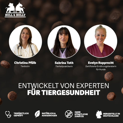 BULL & BULLY Frische Beute Trockenfutter - 10kg Lachs Rind Geflügel