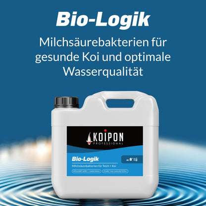 KOIPON Bio-Logik Milchsäurebakterien 5 l Teichpflege für Fischteich