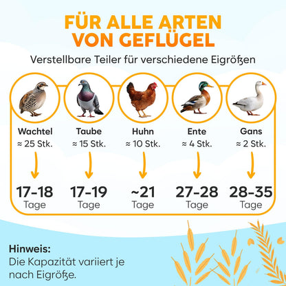 EggPro Brutautomat Vollautomatisch 12-24 Eier – Weiss-Gelb