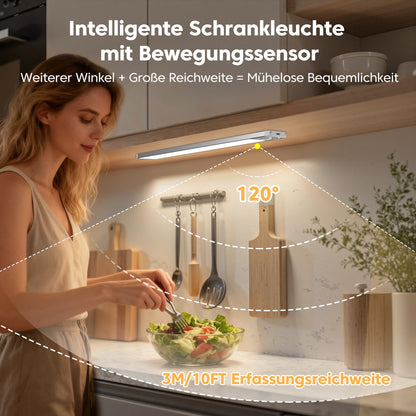 FILIYANO LED Schrankbeleuchtung mit Bewegungsmelder, 30 cm, 3er-Set