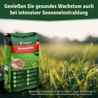 Veddelholzer Garten Dürreresistenter Rasen Rasenpellets 240 m² Schatten