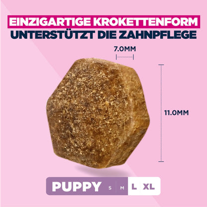 Eukanuba Welpenfutter mit Huhn, Trockenfutter für grosse Rassen, 15 kg