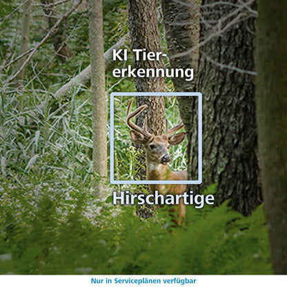 ZEISS Secacam 3 60° 4G Wildkamera mit SIM-Karte und 32 GB Speicher