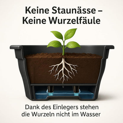 BURI Balkonkasten 100 cm mit Wasserspeicher, 6er Set, Anthrazit