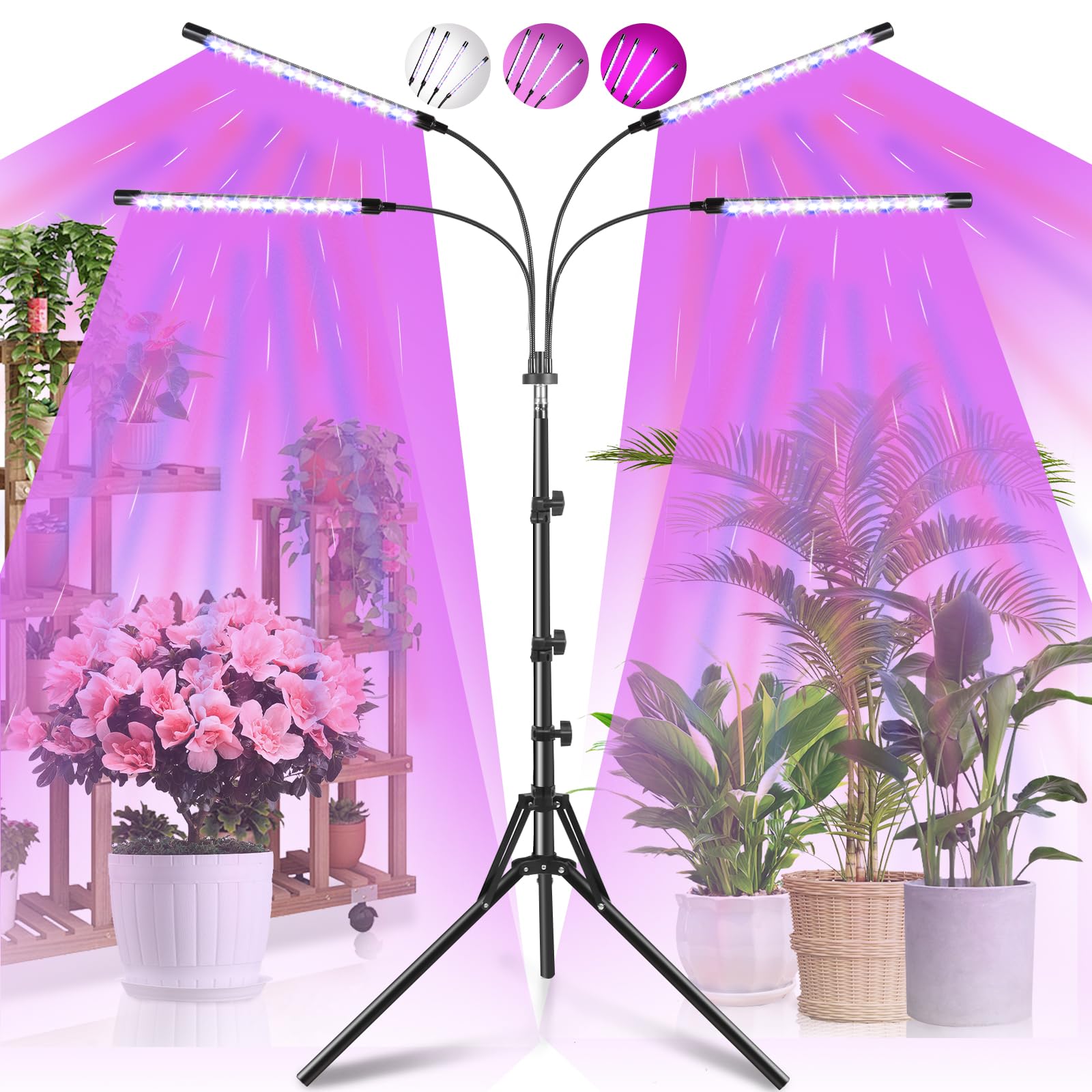 Railee LED Pflanzenlampe Vollspektrum mit Stativ und Zeitschaltuhr, 120 LEDs, vier Leuchtarme mit Schwanenhals