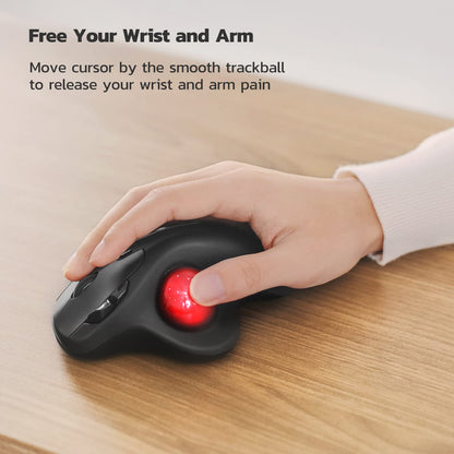 Nulea M501 Kabellose Trackball-Maus, ergonomisch, Bluetooth & 2,4 GHz