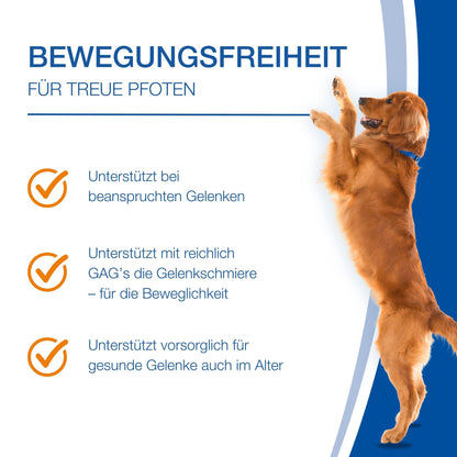 NutriLabs Canicox-HD Tabletten für Hundegelenke 140 Stk.