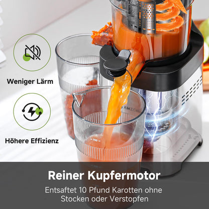 AMZCHEF Slow Juicer 135KJBY Entsafter mit 136 mm Einwurfschacht