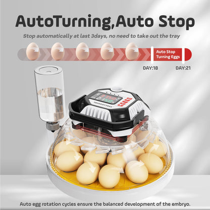 TRIOCOTTAGE Brutautomat MS12, vollautomatischer Inkubator für 18 Eier