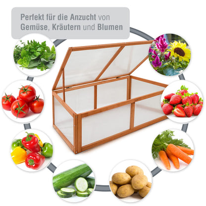 zooprinz Frühbeet HERBA – Pflanzbeet für Terrasse / Garten und Balkon – Gewächshaus – Anzuchtbeet mit Abdeckung aus Holz & Polycarbonat – idealer Schutz für Kräuter und Co.