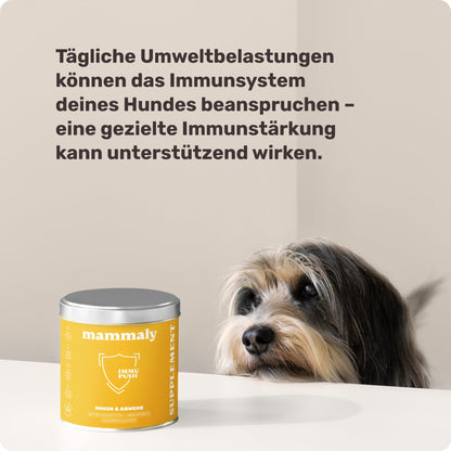 mammaly Immu Push Immunsystem Leckerli für Hunde 350g