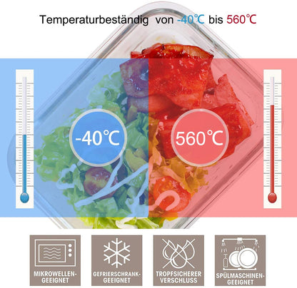 GENICOOK Lunchbox Bento Brotdose Glas 5 x 840 ml mit Lunchtasche