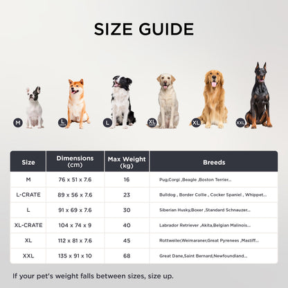 BEDSURE Orthopädisches Hundebett für kleine Hunde 76x51 cm dunkelgrau