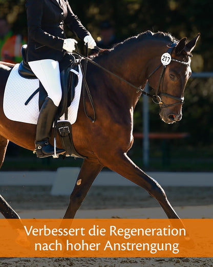 EQUISTRO® Haemolytan 400 Ergänzungsfuttermittel Pferd - 1L