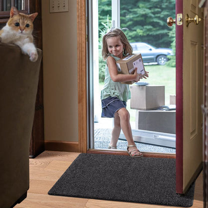 DEXI Sauberlauf Fussmatte 90x150 cm - Schwarz-grau