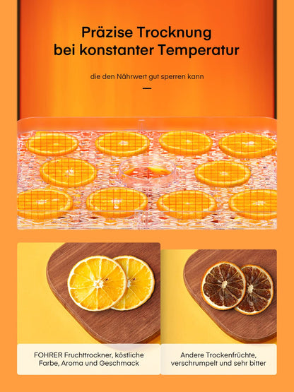 FOHERE Dörrautomat GGJ-320A Dörrgerät mit 5 Einlegefächern, 35–70 °C