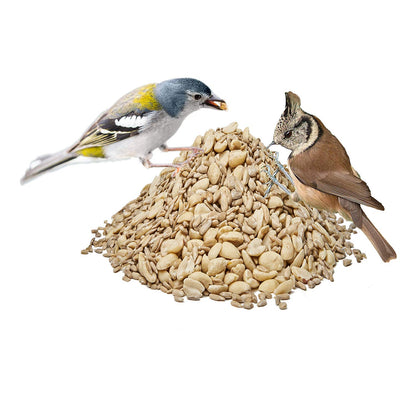 Paul´s Mühle Sonnenblumen Erdnuss Mix Vogelfutter - 25 kg