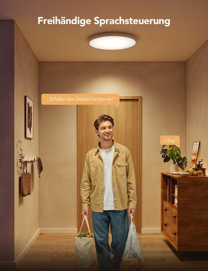 Govee LED Deckenleuchte RGBIC Smart Ø30cm - 2er Set