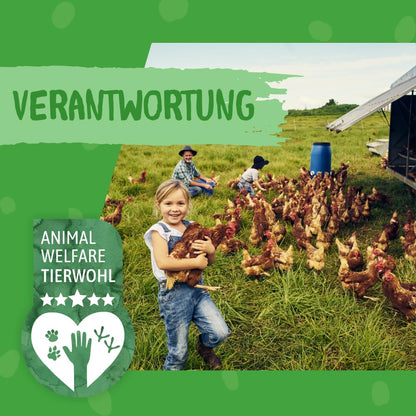 DOKAS Getreidefreier Premium Hundesnack Streifen Entenbrust 500g 6er Pack