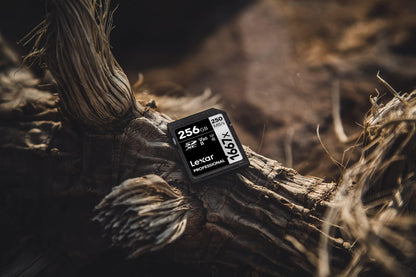 Lexar Professional 1667x SDXC UHS-II Karte 256GB