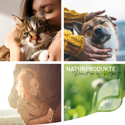 ReaVET Futteröl Hunde Set, 4 Sorten à 500 ml, Barföl