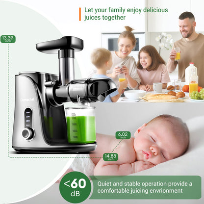 AMZCHEF Slow Juicer Entsafter mit 2 Geschwindigkeiten Grau