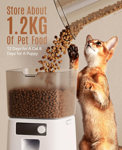 oneisall Futterautomat Katze WiFi 3,5 L, App-Steuerung, Edelstahlnapf