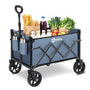 Sekey Bollerwagen Mini 4029, faltbarer Handwagen bis 80 kg, Blau, mit höhenverstellbarem Griff