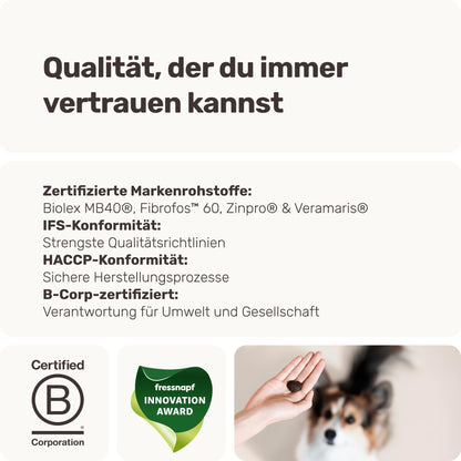 mammaly Multi Vital Multivitamin Snacks für Hunde, 120 Stück, 350 g