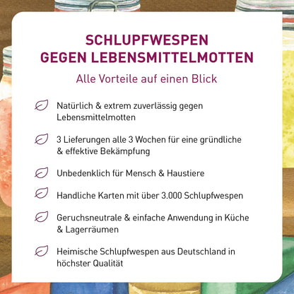 Plantura Schlupfwespen gegen Lebensmittelmotten – 18 Karten Komplett-Lösung