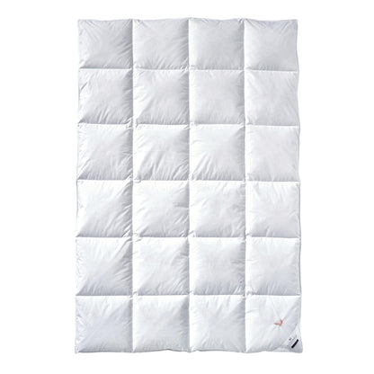 Billerbeck E04 Gold Edition Daunendecke – 135x200cm, Wärmestufe Mittel. Rechteckig, weiß, gesteppt. Bietet mittlere Wärme für erholsamen Schlaf.