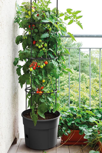 Tymar Tomatentopf mit Rankhilfe und Wasserspeicher, 5er-Set, 40 cm