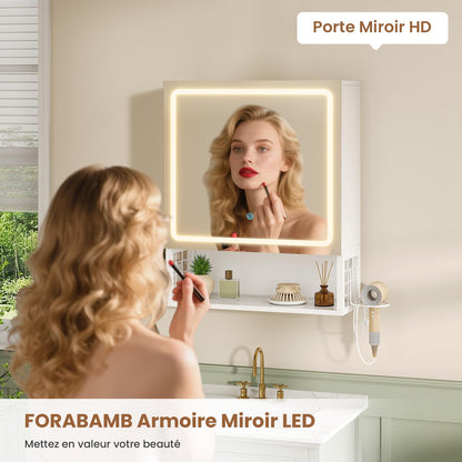 FORABAMB Spiegelschrank mit LED-Beleuchtung, 50 x 16 x 60 cm, weiss