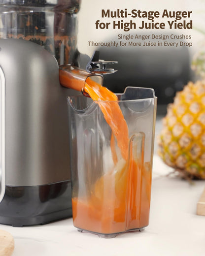 ZACHVO Kaltpress Slow Juicer Entsafter – 130mm Einfüllschacht