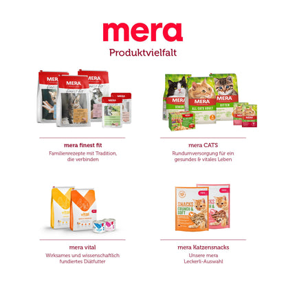 MERA Cats All Cats Adult Trockenfutter Lachs 10 kg - Getreidefrei