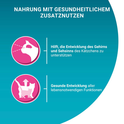 Purina ONE Junior Katzenfutter nass mit Lachs und Karotten, 12er Pack