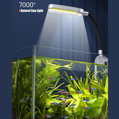 Craftsboys Nano Aquarium Set CB-FT-15, Glas, 5,5 L mit Filter und LED