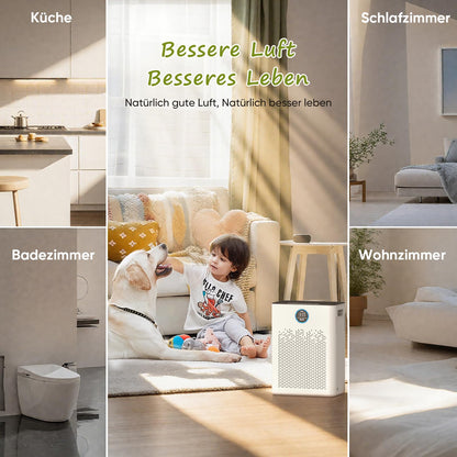 TopClean Grossraum 110 Luftreiniger - H14 HEPA CADR 350 m³/h