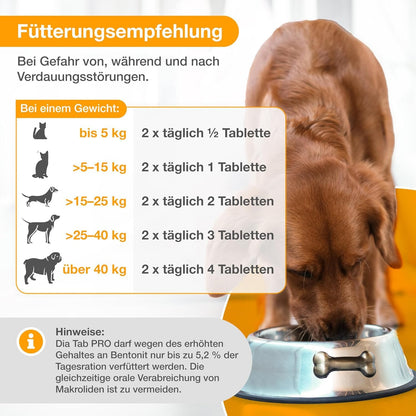 alfavet Dia Tab PRO Verdauungstabletten - 2x 100g für Hunde & Katzen