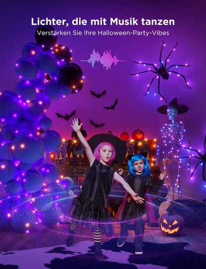 Govee RGBIC LED Weihnachtsbeleuchtung - Aussen 20M