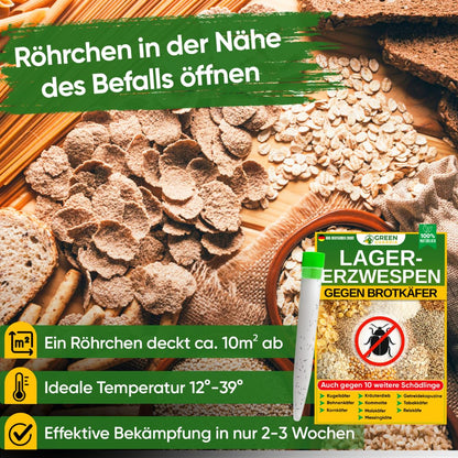 GREEN GUARDIA Lagererzwespen gegen Brotkäfer - 3 Röhrchen