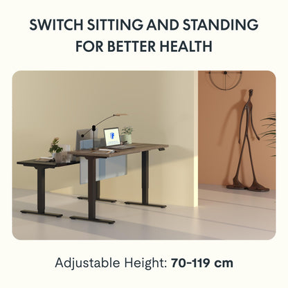 FLEXISPOT E1 PRO Elektrisches höhenverstellbares Tischgestell – Schwarz