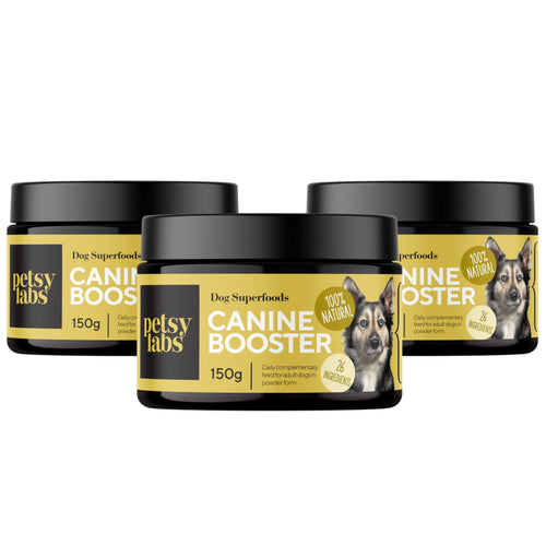 Petstile Canine Booster Grünlippmuschel-Extrakt Hund 150g Pulver: Grünliches Pulver zur Unterstützung der Gelenkfunktion und Mobilität bei Hunden.