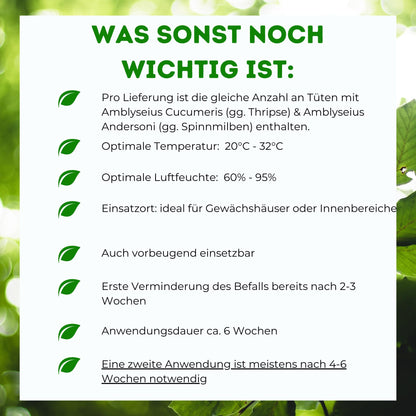 Futeco® Raubmilben MIX Nützlinge – Spinnmilben & Thripse, 60 Tüten