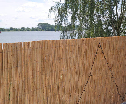 bambus-discount.com Schilfrohrmatte Premium Beach Sichtschutz 200x600