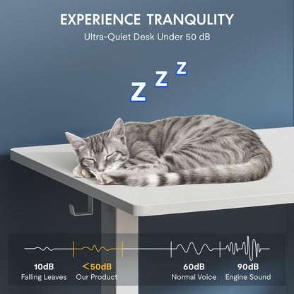 FlexiSpot Höhenverstellbarer Ergonomischer Schreibtisch Basic – 120x60cm Weiss