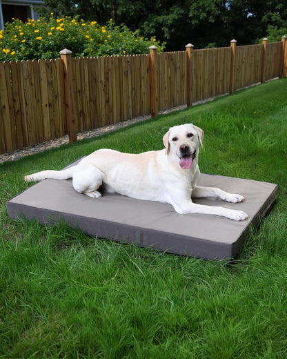 Favodormir Orthopädisches Hundebett für grosse Hunde 119x73cm Grau