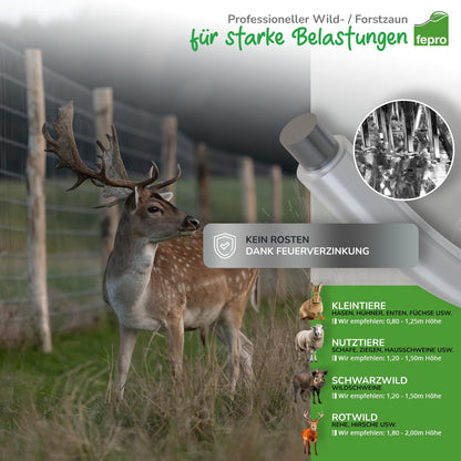 Panorama24 Wildzaun 150/13/15 Knotengeflecht 50m